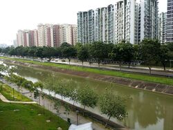 Blk 470A Hougang Parkview (Hougang), HDB 4 Rooms #618881111